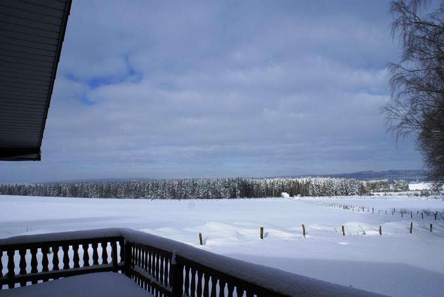 Le Loup Gris - 35 Pers - Vue-Wellness, Butgenbach-Malmedy Villa Екстериор снимка